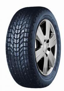 WinterForce 185/70R14 Naast sõiduautole